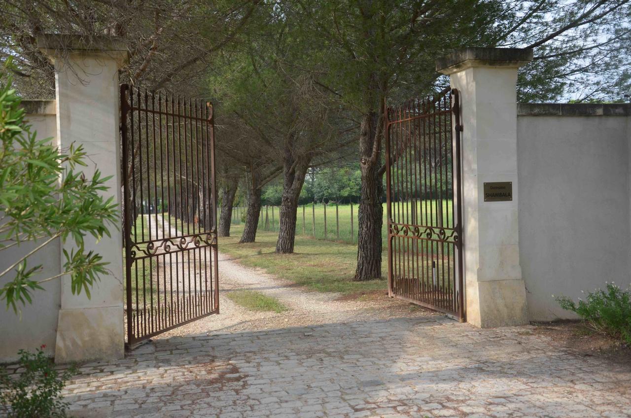 Domaine Shambala - Maison D'Hote En Provence - Piscine Chauffee Velaux Exteriör bild