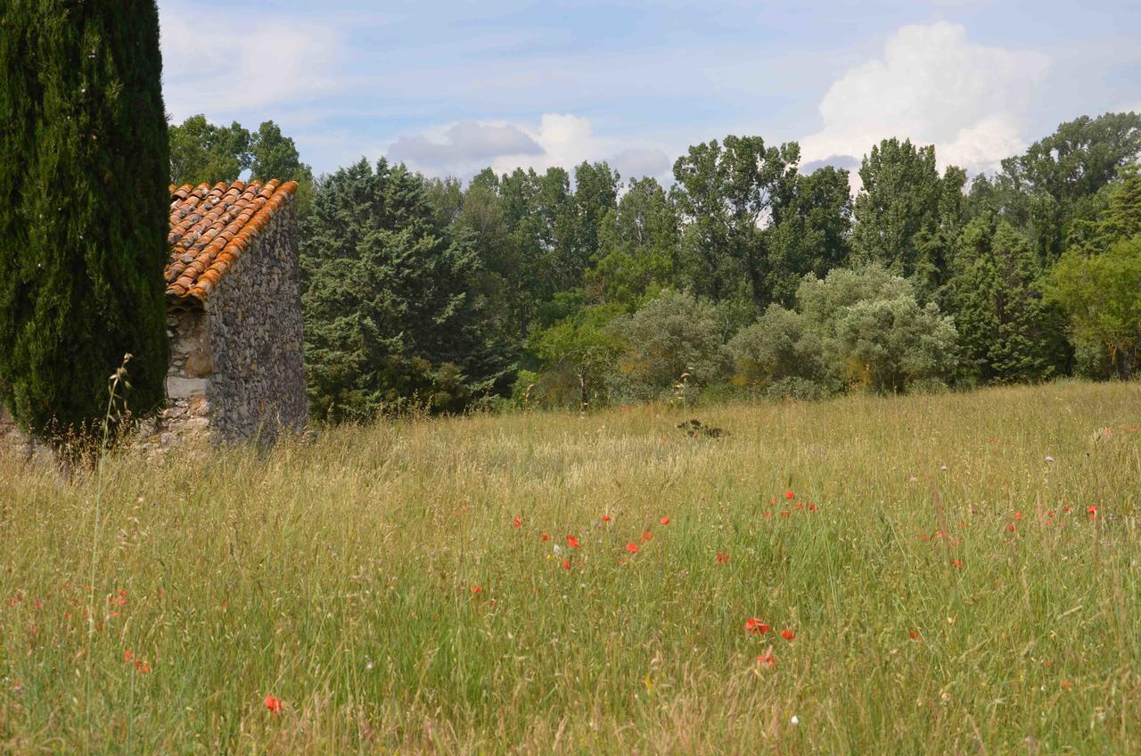 Domaine Shambala - Maison D'Hote En Provence - Piscine Chauffee Velaux Exteriör bild